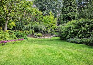 Optimiser l'expérience du jardin à La Loge-Pomblin
